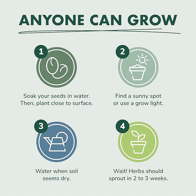Indoor Herb Garden Starter Kit - Heirloom Non-GMO Herb Seeds - Basil Thyme Parsley Cilantro Seed Potting Soil Pots Scissors - DIY Grow Kits for Growing Herbs Indoors Kitchen Balcony Window Sill
