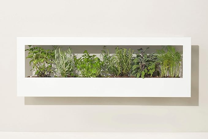 Modern Sprout Smart Landscape Growframe Wall Mounted Planter with LED Grow Light -White