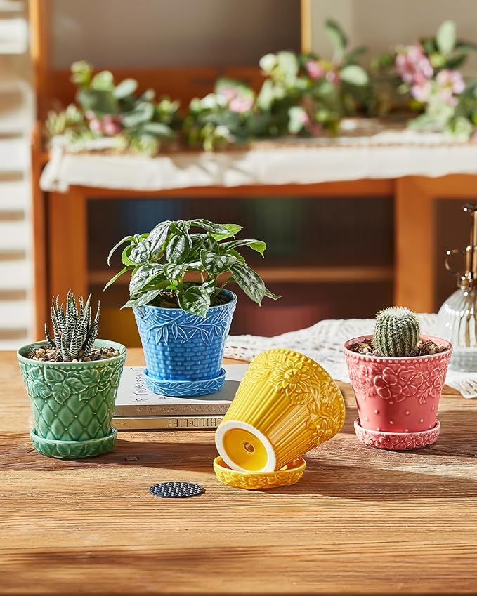 Succulent Ceramic Pots 3.8 Inch Small Plant Pots with Drainage Hole &amp Saucer Flower Planter Pot for House Plants Cacti Home Decor Set of 4 Assorted Colors