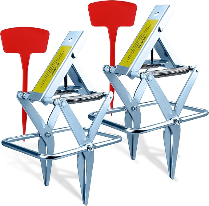 2 Pack Mole TrapsGalvanized Steel Scissor TrapReusable Mole Trap KillerEasy Set Mole Eliminator Trap for Lawns