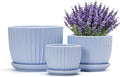 Ton Sin Sky Blue Ceramic Flower Pots 4+5+6 Inch Small Succulent Planters with Drainage HoleModern Indoor Decorative Plant Pots Set of 3Garden Pots with Saucer(Blue)