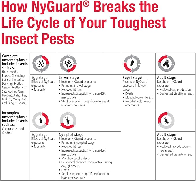 MGK NyGuard® IGR Concentrate | Cockroach Flea Ant Fly and Mosquito Concentrate | Insect Growth Regulator | for Indoor/Outdoor Applications | 140 ML