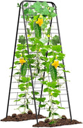 Cucumber Trellis 50x30 Metal Garden Trellis for Climbing Plants A Frame with Powder Coated Black Iron Heart Shaped