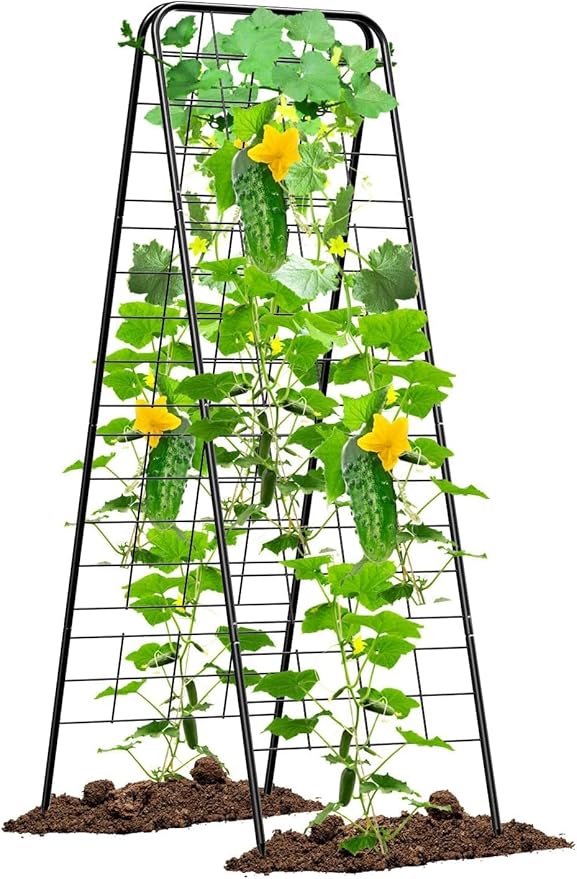 Cucumber Trellis 50x30 Metal Garden Trellis for Climbing Plants A Frame with Powder Coated Black Iron Heart Shaped