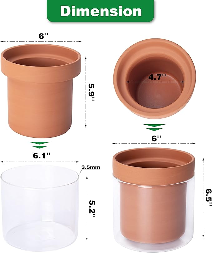 Phoenix Vine 6 Inch Self Watering Planter Pot Terracotta Clay Pot with Glass Reservoir for Indoor Plants Herbs Flowers Set of 2 52-A-F-2