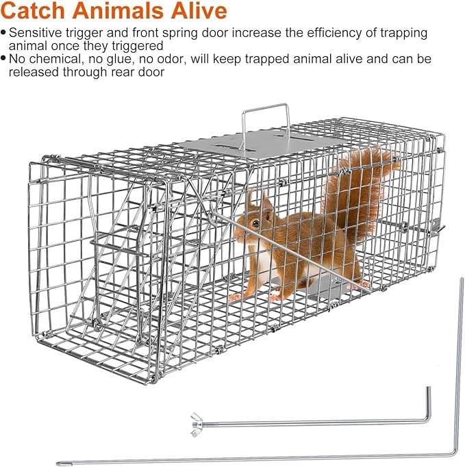 KOCASO 2 Pack Humane Animal Trap Outdoor Large Heavy Duty Folding Live Trap Catch Release Rodent Cage Collapsible Galvanized Wire Catcher Cage for Small Raccoons Beavers Groundhogs Armadillos