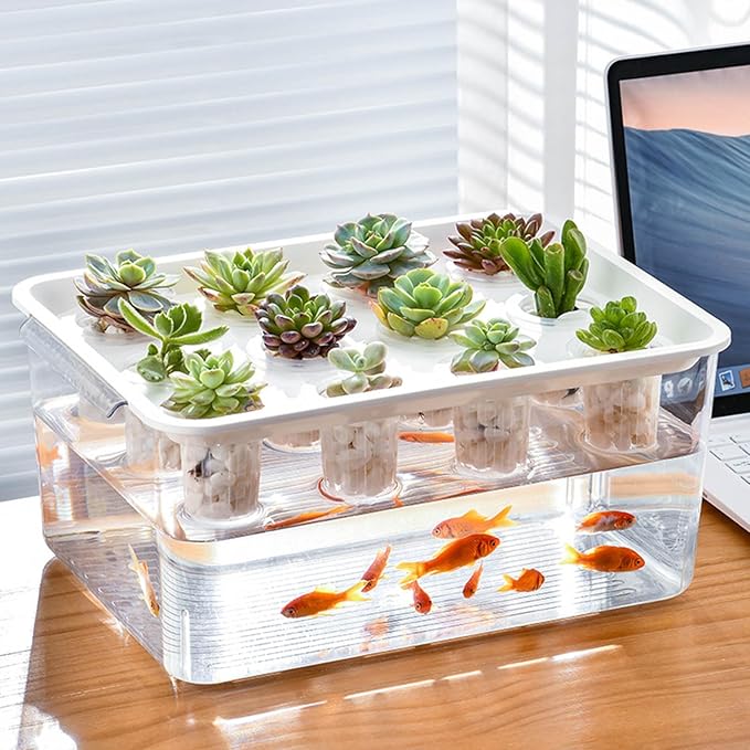 Modern Hydroponic Growing Setup Container Featuring Viewing Window for Home Vegetables Plant Progress Plant Growing Greenhouse Container