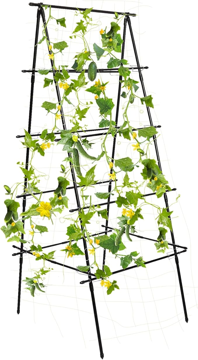 HPC Decor Cucumber Trellis for Raised Bed 6 FT Tall Garden Trellis for Climbing Plant Outdoor Metal A Frame Trellis with Climbing Net Support for Vegetable Grape Tomato Peas Fruit Vine.
