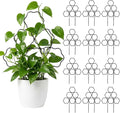 ZOUTOG 12 Pack Trellis for Climbing Plants Outdoor 15 InchRustproof Metal Garden Trellis for Potted PlantsSturdy Houseplant Support Indoor Outdoor for Ivy Pothos Monstera Hoya Flower Vine (Flower)