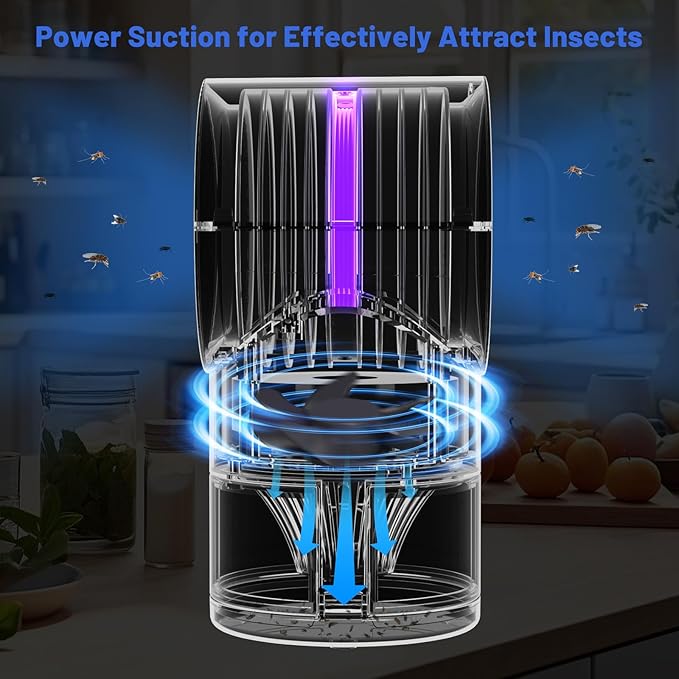 Fruit Fly Trap for Indoors Fly Traps for Home Gnat Traps House Indoor Indoor Insect Trap with Time Setting 10 Sticky Glue Boards (Blue)