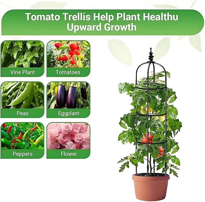 Garden Trellis for Climbing Plants Outdoor Plant Support for Potted Plants Climbing Vine Rose Clematis Vegetable Cucumber Garden Obelisk Tower 60cm 90cm 120cm 150cm 180cm(Black20x120cm)