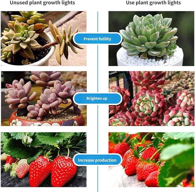 LED Grow Lights for Indoor Plants Plant Grow Lights Full Spectrum Auto ON Off with 3/9/12H Timer 9 Dimmable Lightness Clip-On Desk Grow Lamp Bulbs (Four Head)