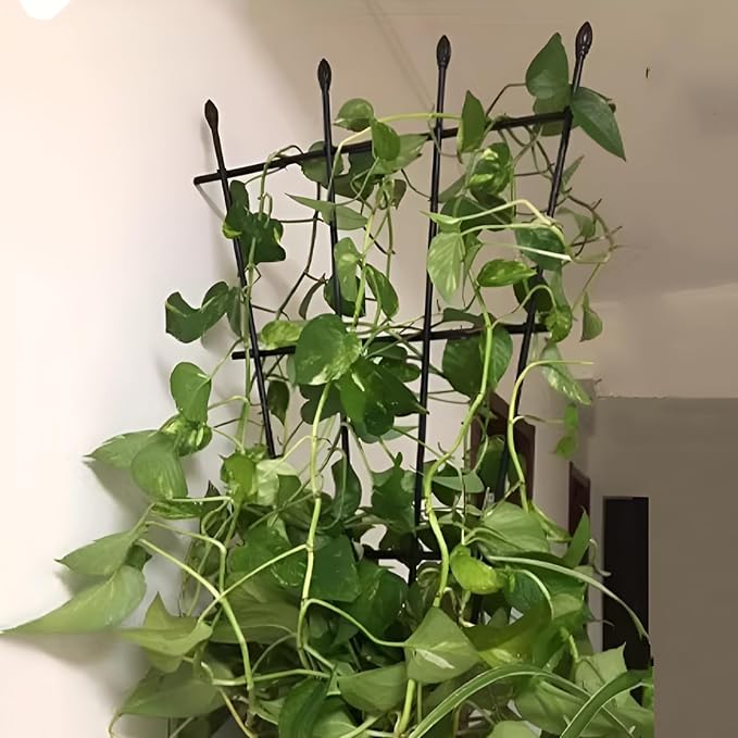 Plant Supports for Garden 90cm 120cm High Metal Fan Trellis for Climbing Plants in Pots Indoor Outdoor Decorative Plant Support Rust-Proof and Easy to Assemble(90cm/35.4in)