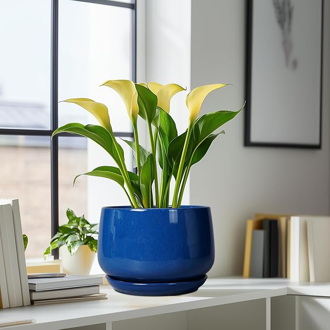 G EPGardening Ceramic Pots for Plants 9 Inch Modern Round Planter with Drainage and Tray Indoor Outdoor for Flower Patio Decor Housewarming Gifts Blue