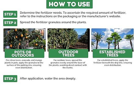 10-10-10 &amp 6-4-6 Avocado and Citrus Tree Professional Fertilizer for All Purpose Plants - Liquid Fertilizer with Seaweed Kelp &amp Iron - Orange Lime Avocado &amp Lemon Tree (8oz &amp 1/2 Qt)