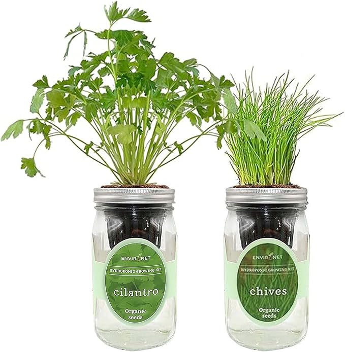 2-Pack Hydroponic Mason Jar Herb Garden Kit Indoor Herb Garden Self-Watering Starter Kit New Christmas Gift for Mom (CilantroChives)