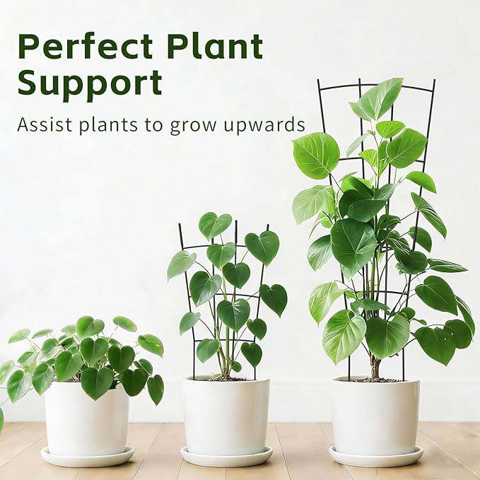 Trellis for Climbing Plants Indoor 4 Pack 31'' Metal Plant Trellis Indoor for Potted Plants Sturdy Plant Support Outdoor for Ivy Pothos Monstera Hoya Flower Vine Fan Shape