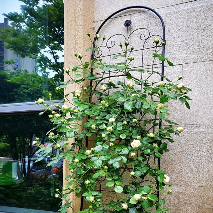 4 Pack Metal Garden Trellis for Climbing Plants Outdoor 86.7'' H x 19.7'' W Black Powder Coated Plant Support Grid for Vines (4 Pack)