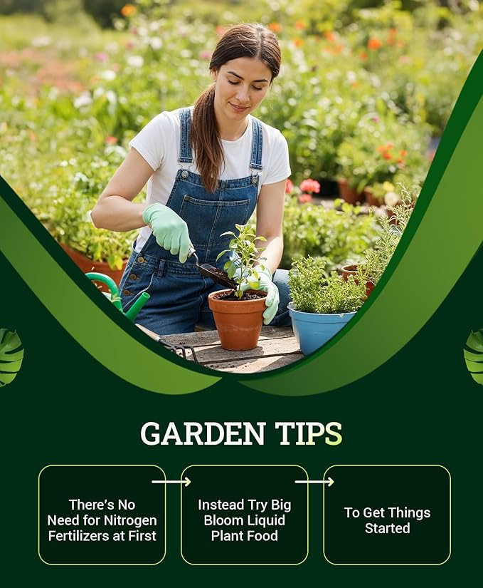 FoxFarm Ocean Forest Potting Soil for Container Gardens - Light Aerated Texture with Fish Meal Crab Meal Earthworm Castings - Houseplant Potting Mix for Seedlings &amp Plant Starts - 2 x 12 Quart