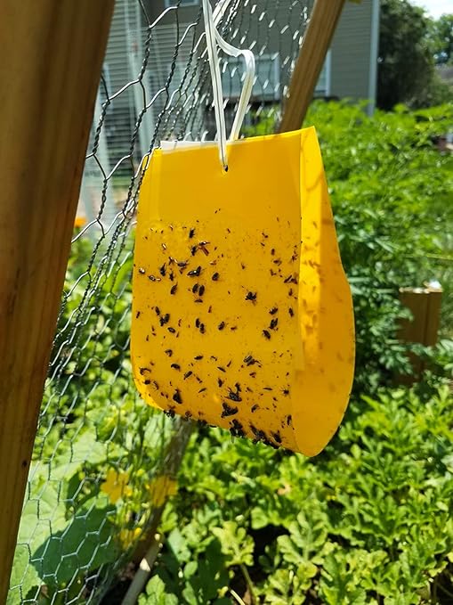 VivaTrap VT-103 Cucumber Beetle Trap &amp Lure (2 Pack)