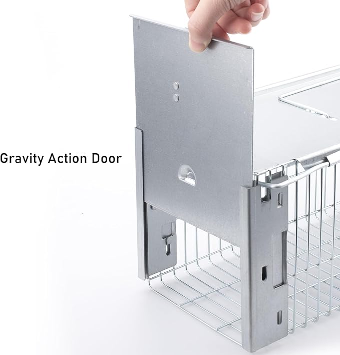 Faicuk Heavy Duty Squirrel Trap Chipmunk Trap Rat Trap and Other Similar-Size Rodents - 16.3” x 6” x 6.7”