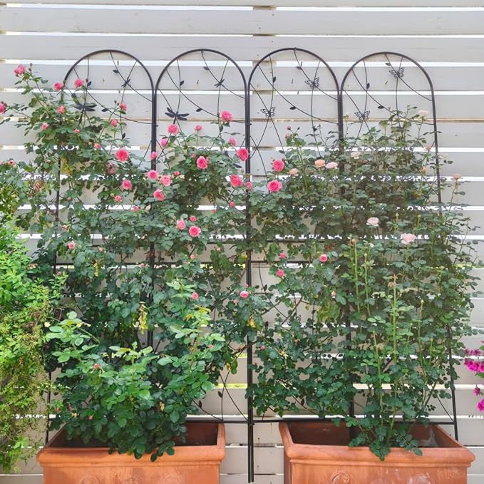 Sturdy Metal Garden Trellis for Climbing Plants – Rust-Resistant Outdoor Flower Support with Decorative Dragonfly Design (2 Pack-H86'')