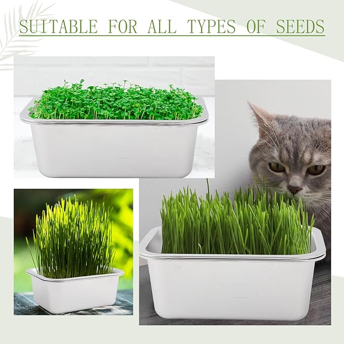 Vesici 4 Pack Sprouting Tray Kit Stainless Steel Soil Free Cultivation Germination Tray Wheatgrass Growing Container Seed Sprouting Container Kit for Indoors Plant Seed Beans Broccoli Arugula