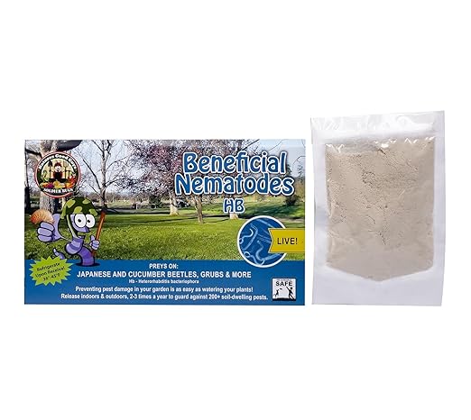 Beneficial Nematodes Heterohabditis bacteriophora HB -Ships from USA (25 Million)