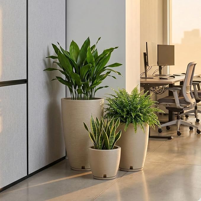 Floridis Planter Set of 3 Outdoor/Indoor Plastic Resin (Beige)