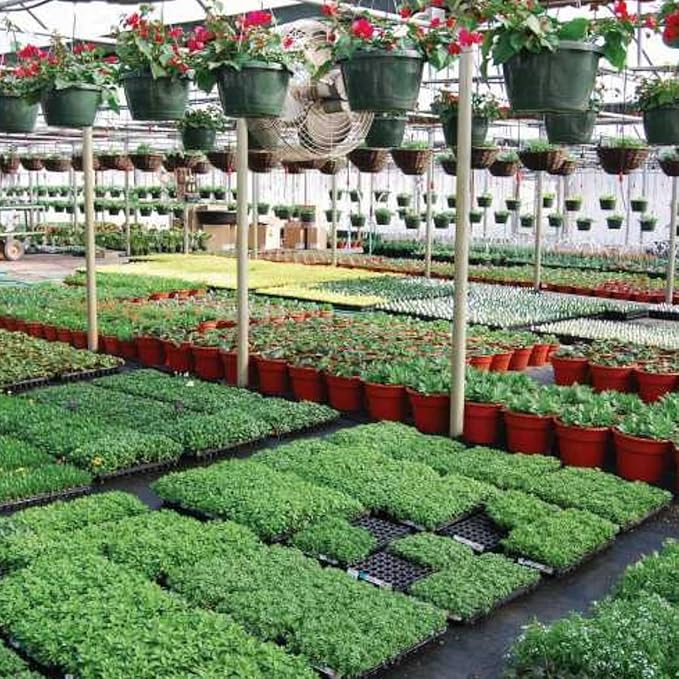 Farm Plastic Supply - Black &amp White Greenhouse Plastic Sheeting - 6 mil - (10' x 75') - 90% Reflective Green House Covering Film for Farming Gardening Agriculture