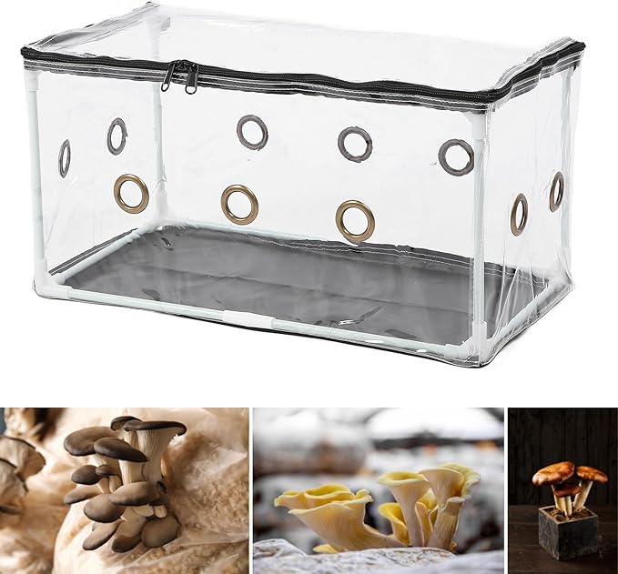 Mycology Mushroom Grow Box High Yield Easy to Use Cultivation Kit for Beginners and Experts Growing Box Oyster Shiitake Button Mushrooms Complete Instructions Tools Ideal Home