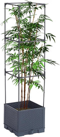 Planter with Trellis - with Trellis Self-Watering Cage | Outdoor Plant Raised Garden Bedsfor Tomato Cucumber Pea Grape Vines Vegetable Flower Fruit Potted Indoor