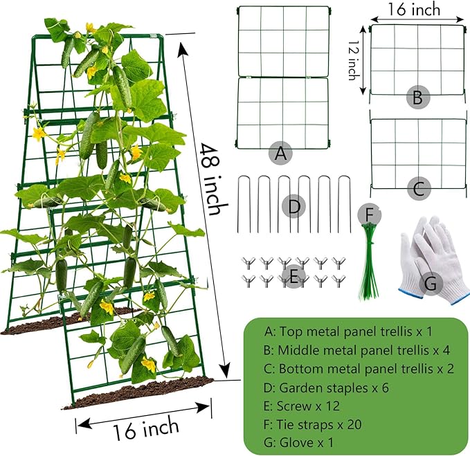 Thickened Cucumber Trellis for Raised Garden Bed48x16 Foldable Frame Metal Vegetable Trellis for Climbing Plants Outdoor Plant Support for Grape Tomato Peas Fruit VineBean(Green)