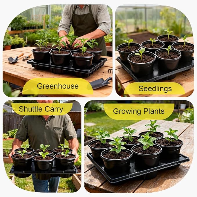 6 Inch Plastic Plant Pots 30 Pack and 6 Cell Nursery Pots Trays 5 Pack Sturdy Seeds Starting Germination Shuttle Carrying Trays Black Nursery Planting Propagation 5 Sets