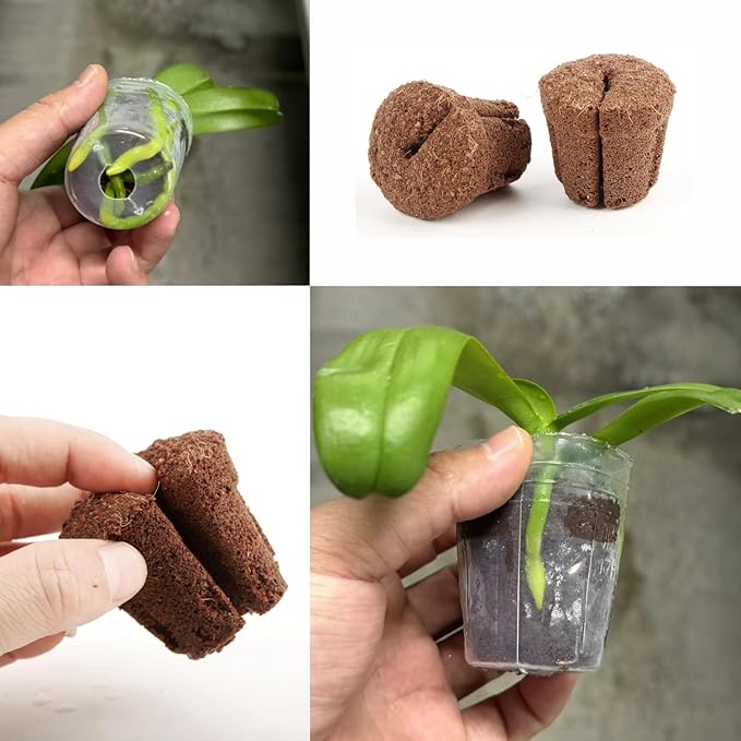 50pcs 1.5 Inch Phalaenopsis Orchid Growing Plugs Hydroponic Growing Media for 1.5 Inch Orchid Cups Breathable Planting Cubes for Orchid Seedlings and Transplanting