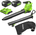 Greenworks 48V (24V x 2) Cordless Brushless Leaf Blower/Vacuum (520 CFM / 240 MPH) with Bag Powerful &amp Efficient for Yard Debris Cleanup Includes (2) 4.0Ah Battery &amp Dual Port Charger
