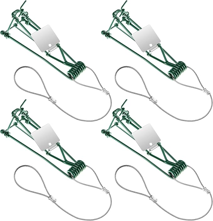 Qualirey 4 Pcs Gopher Trap with Chain Mole Vole Trap Gopher Killer Stainless Steel Weather Resistant for Lawn Garden Farm Outdoor (Green)