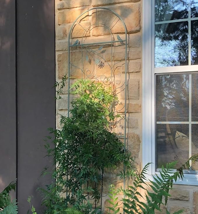 Upgraded Metal Garden Trellis for Climbing Plants Outdoor Plant Trellis Frame for Potted Plants Plant Support Screen Trellis for Flowers Vine Vegetable Indoor Outdoor(Color:GreenSize:210*50cm/82.7*