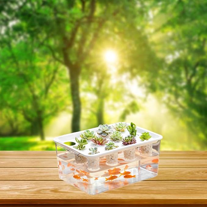 Generic Hydroponics Grower Box Hydroponic System Growing Box 12 Holes Wear Resistant Desktop Micro Landscape Tank for Vegetables Home White