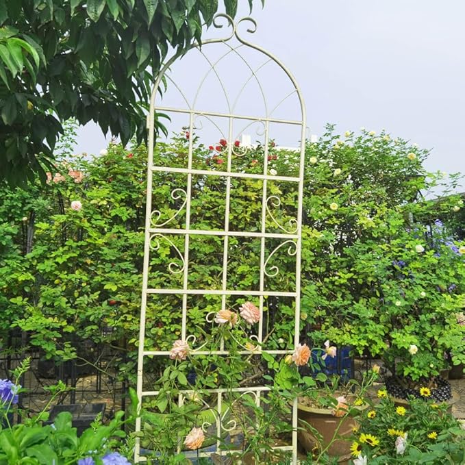 Sturdy Metal Garden Trellis for Climbing Plants – Rust-Resistant Outdoor Plant Support with Decorative Lattice Design (2 Pack-Cream White)