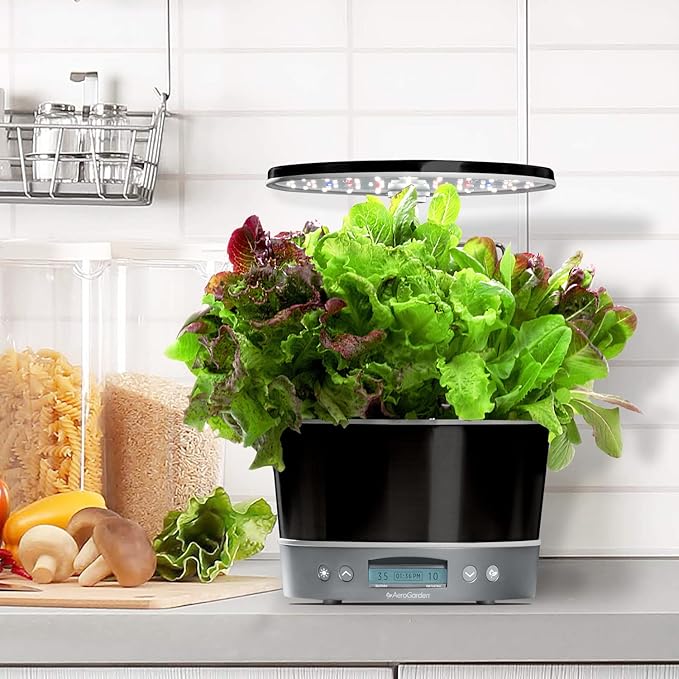 AeroGarden Harvest Elite 360 Indoor Garden Hydroponic System with LED Grow Light and Herb Kit Holds up to 6 Pods Platinum