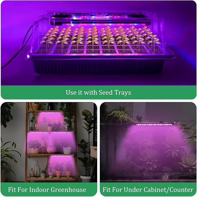 Verdenu Seed Starter Tray with Grow Light 2 Pack 80 Cells Seed Starter Kit with Humidity Dome Adjustable Brightness Seed Tray with Smart Timer 3 Modes 4 Timing Germination Kit for Indoor