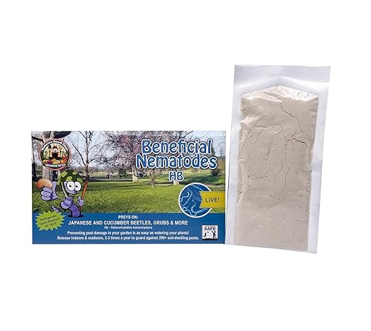 Beneficial Nematodes Heterohabditis bacteriophora HB -Ships from USA (50 Million)