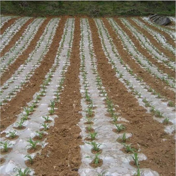 WGD Dimo 10m White Plastic PE Ground Cover Film 0.006mm Thick Agriculture Ground Mulch Film Frost Protection Keep Warm Weed Control Greenhouse Mulch