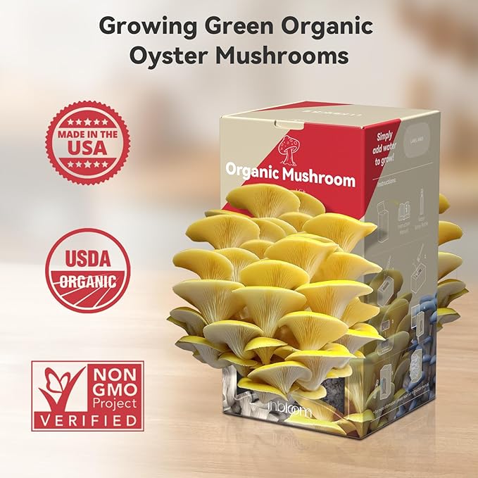 inbloom Organic Golden Oyster Mushroom Growing Kit with Spray Harvest Fresh Mushrooms at Home Beginner Friendly &amp Easy to Use Unique Gardening Gift for Holiday Handmade in New Jersey USA