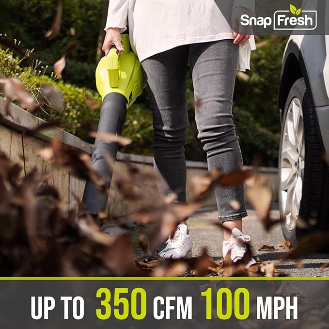 SnapFresh Leaf Blower Cordless - 350 CFM Electric Leaf Blower with 4.0Ah Battery &amp Fast Charger - Lightweight &amp 2-Speed - 20V Battery Powered Leaf Blowers for Lawn Care/Yard/Garden/Patio