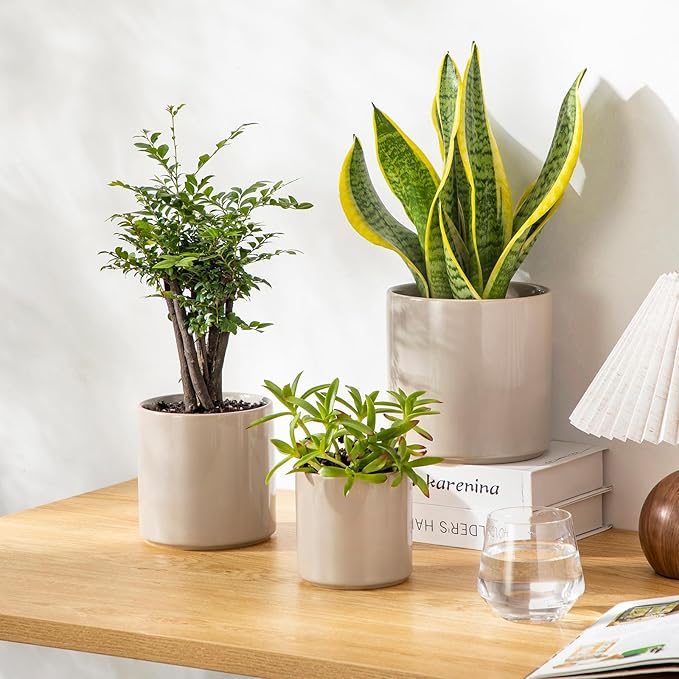 vancasso Ceramic Plant Pots 4.25+5.25+6.25 Inch Planter Pot with Drainage Hole Flower Pots for Indoor Outdoor Plants Set of 3 Grey