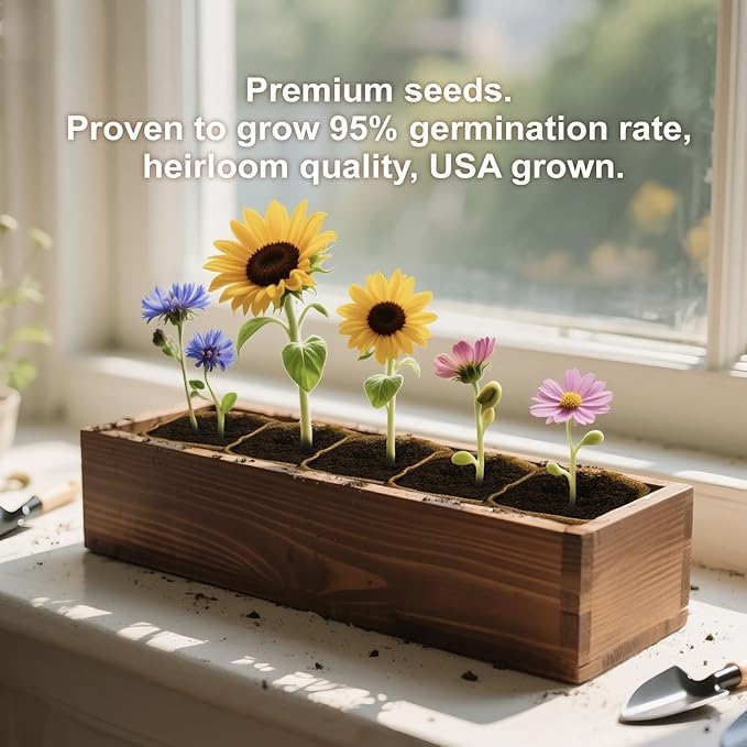 Herbsy 5 Indoor Flower Growing Kit Complete Planting Starter Set with Sunflower Zinnia Marigold Cosmos Cornflower Seeds Unique Birthday and Christmas Gifts for Women Men Plant Lovers