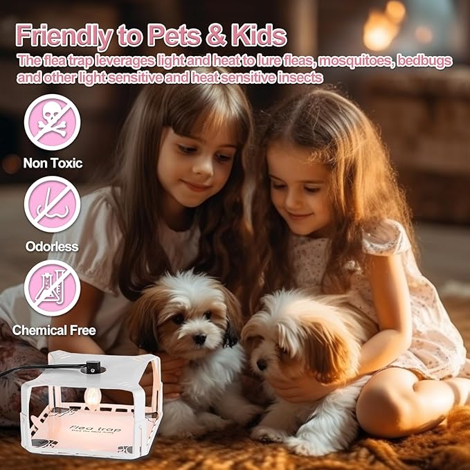Flea Traps for Inside Your Home 2 Packs Flea Trap with Light for Indoor Bed Bug Flea Killer Pest Control Non Toxic &amp Harmless Friendly to Pets &amp Kids with 6 Sticky Refills and 6 Lightbulb