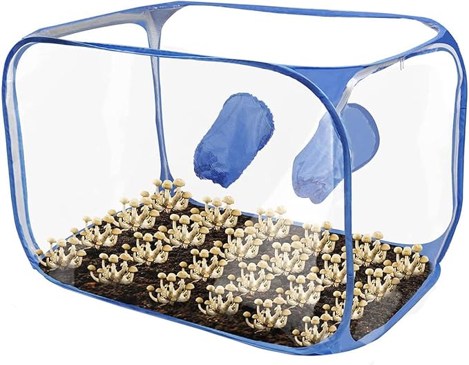 Dpofirs Still Air Box Mushroom Cultivation Set - Versatile Scientific Growth Kit for Home Growers